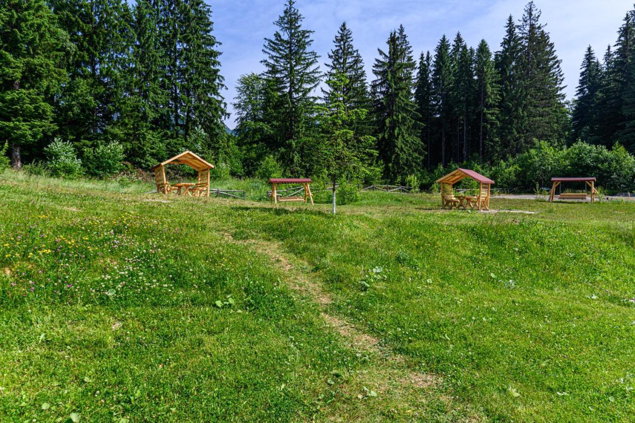 Fabulous Panorama Silver Mountain Apartments Poiana Brasov Exterior photo