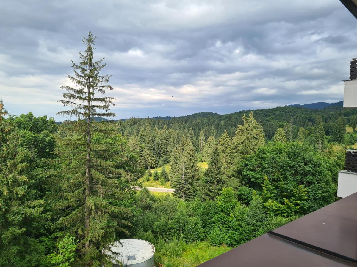 Fabulous Panorama Silver Mountain Apartments Poiana Brasov Exterior photo